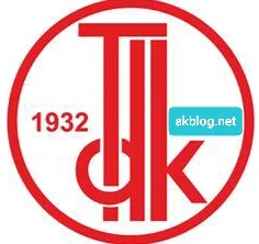 Şoför Kelimesinin Anlamı TDK 