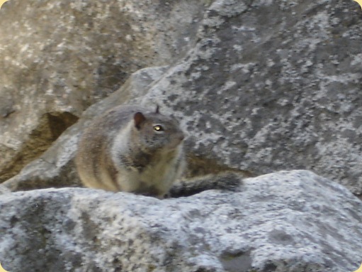 Yosemite National Park, CA 144