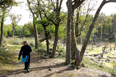 Sendero del Turbal en el Parque Nacional Tierra del Fuego, Ushuaia, Argentina.