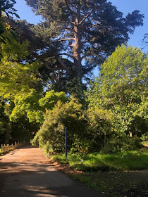 Visite du jardin botanique de San Francisco