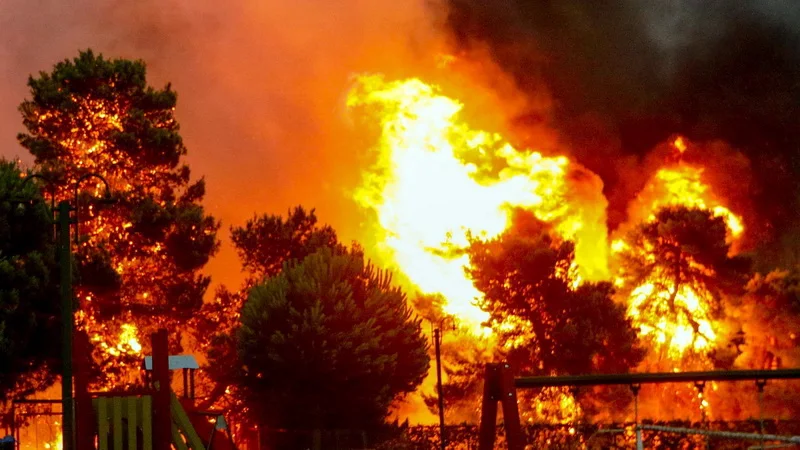 Το θεσμικό και νομοθετικό πλαίσιο οργανωμένης απομάκρυνσης πολιτών λόγω δασικών πυρκαγιών