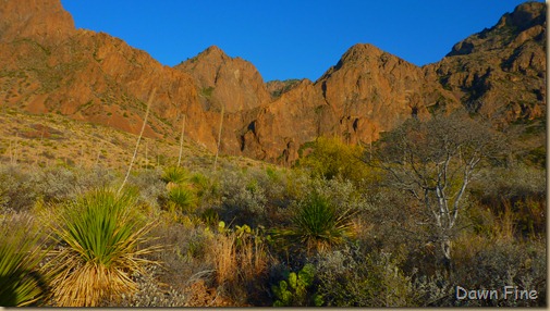 Cat tail Falls_086