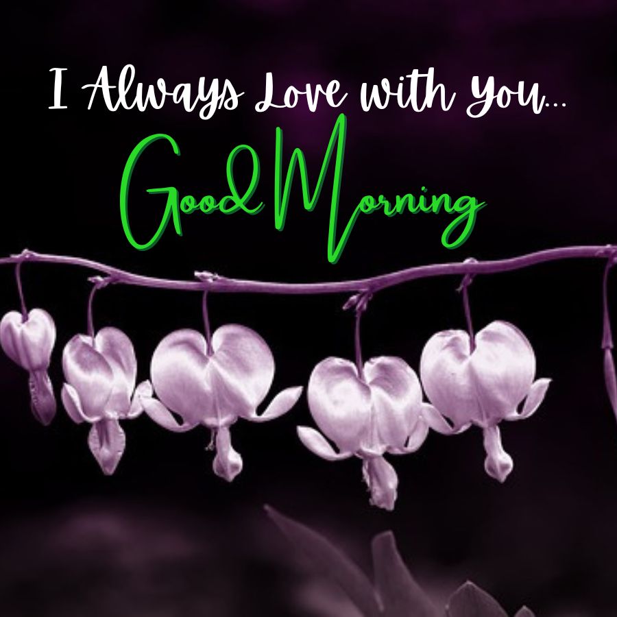 good morning love images hd