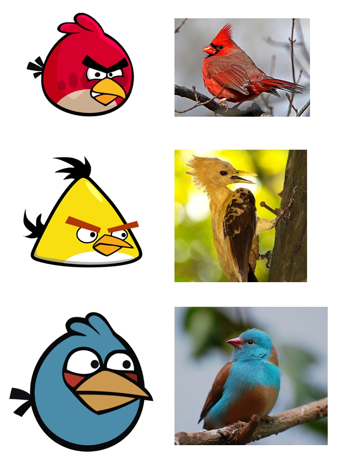 Angry Birds in Real Life 01 Burung Burung Angry Bird Di Dunia Nyata