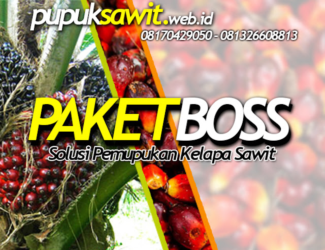 Paket Pupuk Organik Paling Komplit Supaya Sawit Berbuah Banyak