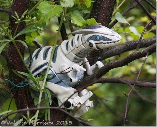 strange-creature