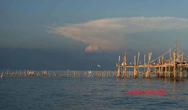 Fishing farm, Thailand