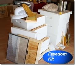 Freedom