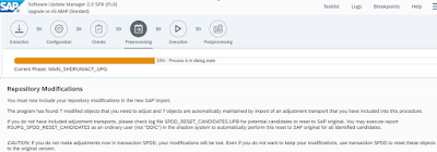 My experience during a SAP technical upgrade (Pre-implementation & Post-Implementation)