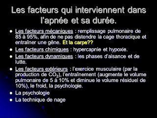 D’une manière générale, l’entrainement de l’apnéiste doit permettre d’agir sur :