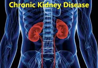 What is a Chronic kidney diseases?