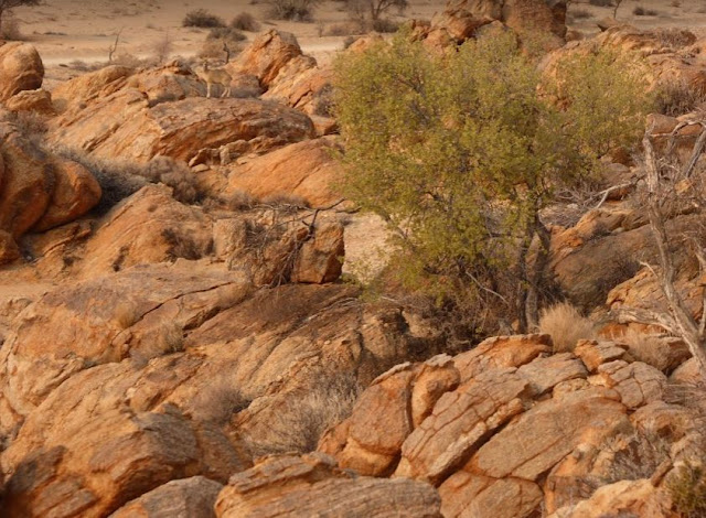 deserto roccioso ad Aus