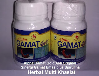 Jual manfaat khasiat alpha gamat gold spirulina sinergis Asli BPOM