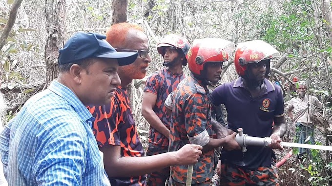 The Sundarbans Have Been Burning For Three Days