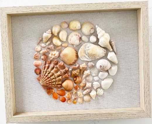 Shell Mosaic Art