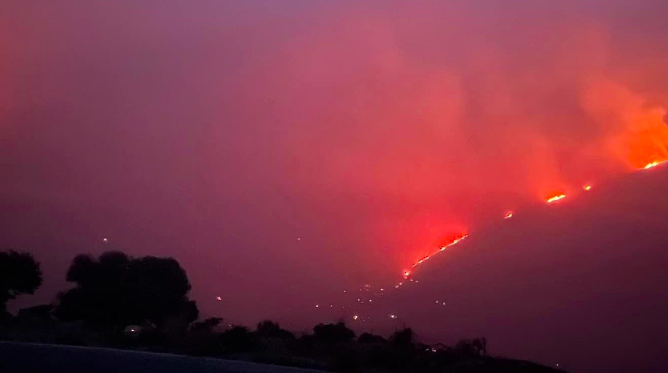 επιδομα 534 ευρω, αιτησεισ