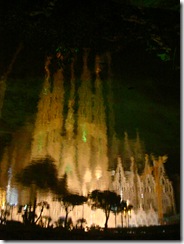DSC04515