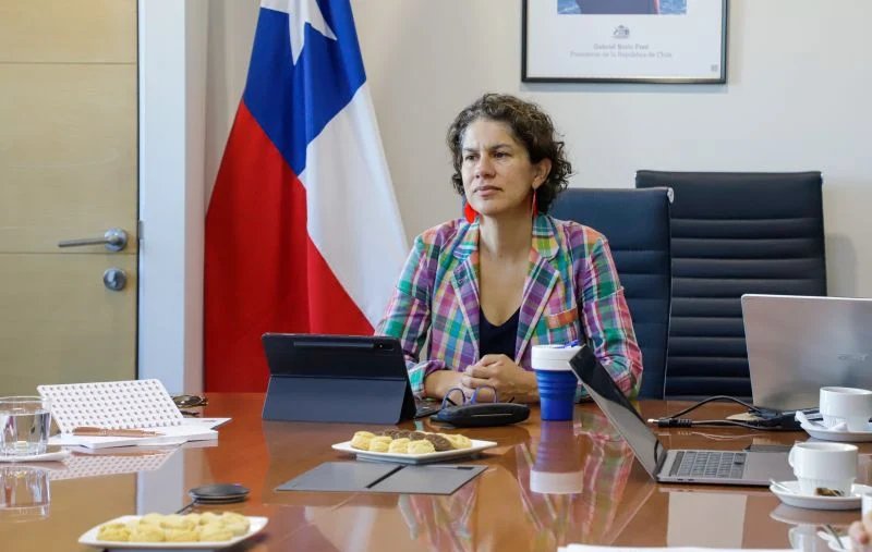 Ministra del Medio Ambiente Maisa Rojas