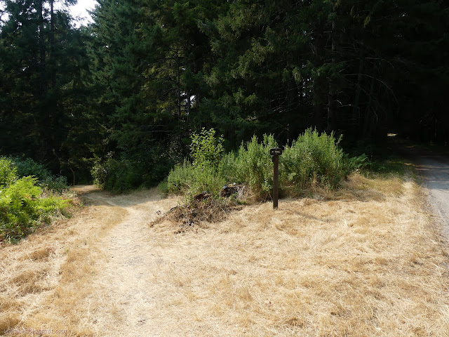 trail sign pointing out trail