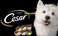 Logo Diventa una delle 1.250 tester dei prodotti Cesar