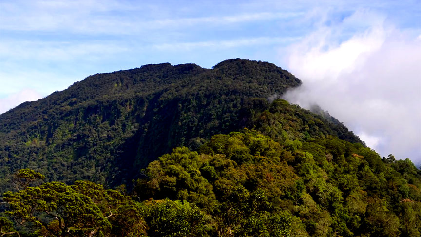 Puncak Bukit Raya Bukit Baka