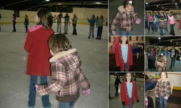 View ice skate