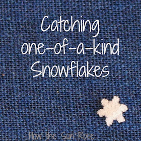http://howthesunrose-lalagirl.blogspot.com/2012/12/catching-snowflakes.html