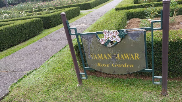 Taman Mawar