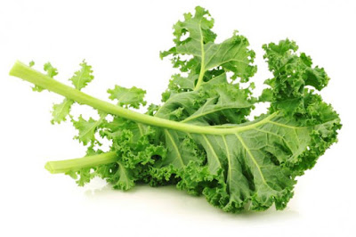 Kale Vegetables Health Benefits