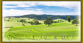 barossa wine tours