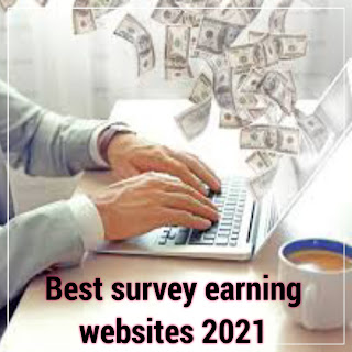 Best survey earning websites 2021
