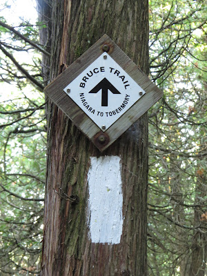 Bruce Trail hiking blaze and marker.