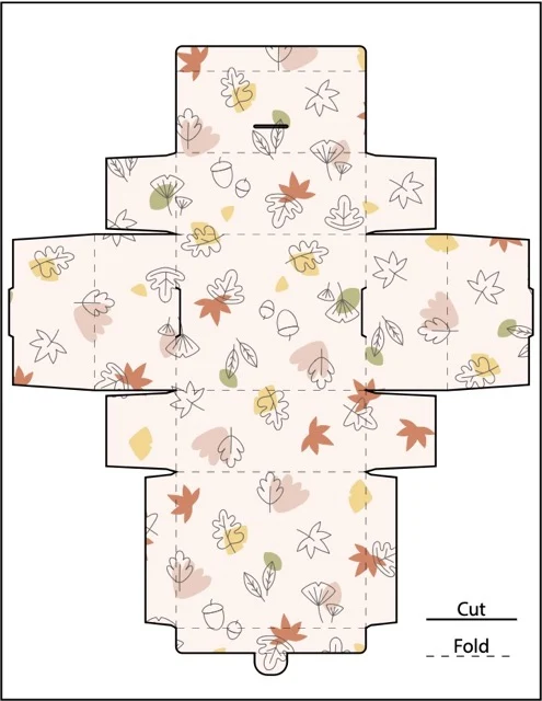 Foldable Boxes