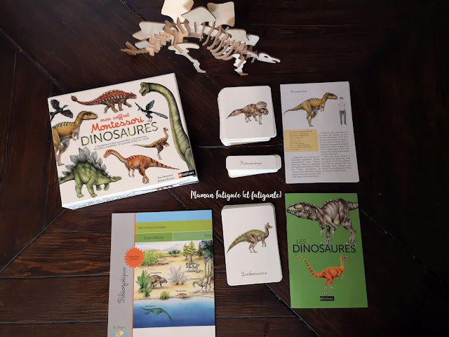 coffret montessori dinosaures nathan