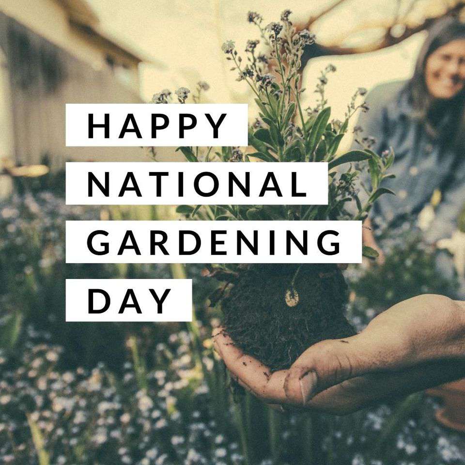 National Gardening Day Wishes for Whatsapp