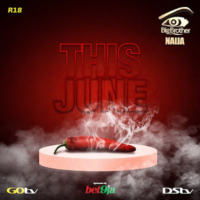 Big Brother Naija season 4 spicy hot to start June 30th