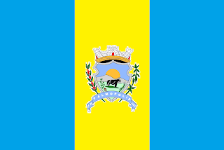 Bandeira de Palmópolis MG