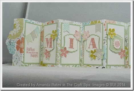 Scallop Tag Concertina Card,2014_03_Baby Girl Mia Ruby_ MIA (1)