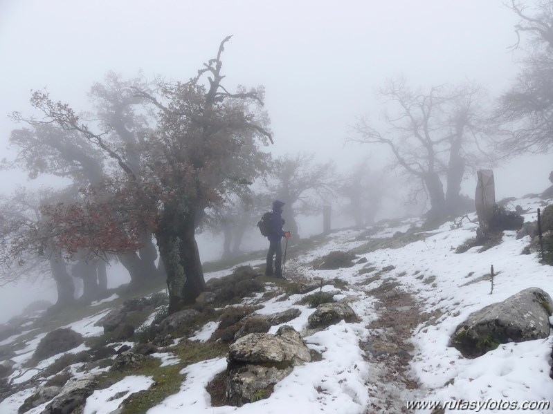 Subida al Torrecilla desde Quejigales