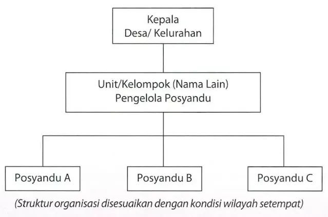 Struktur Organisasi Posyandu