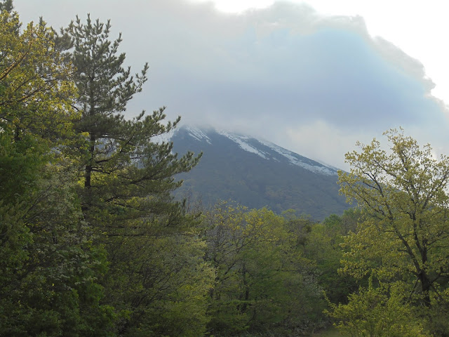 大山牧場みるくの里からの大山の眺望