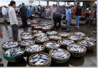 perikanan darat dan laut