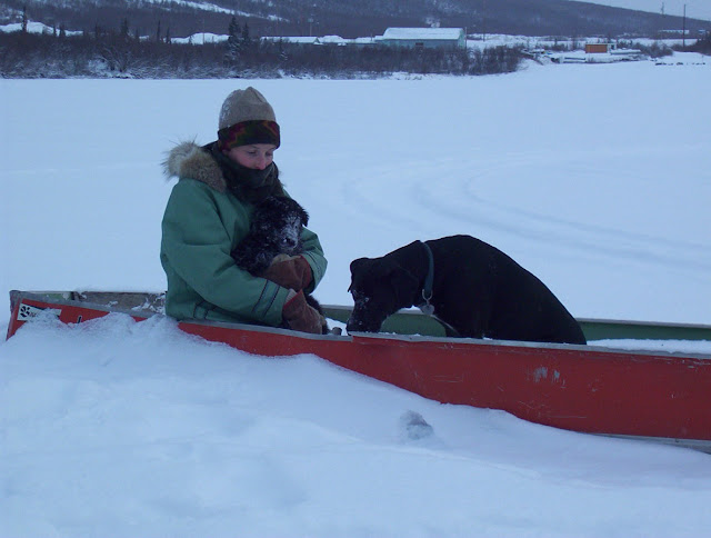 Kristi Benson in a canoe on the snow with her dog Grace and another dog