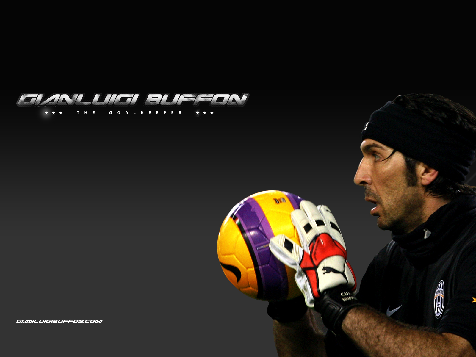 buffon wallpaper