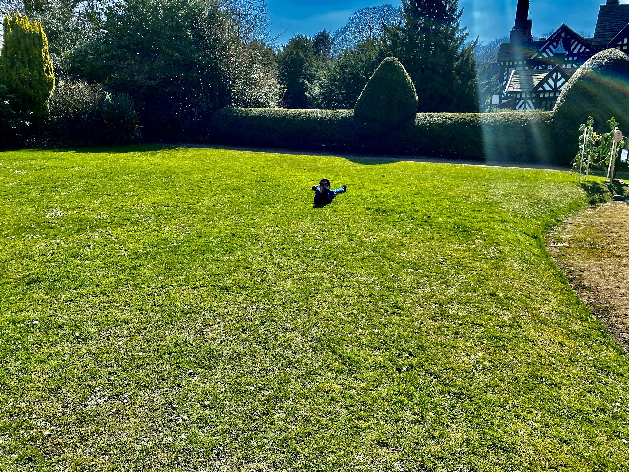 boy lying on grass