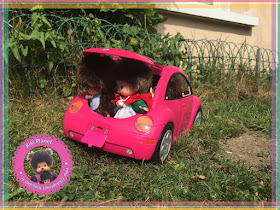 monchhichi emoji vacances voiture kiki bubbles Diana green ruby baby bebichhichi volkswagen new beetle dj cochon d'indépendance music rodéo cowboy