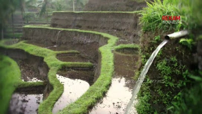 Subak - Bali irrigation Traditional Water Management System