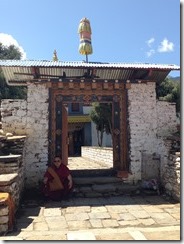 IMG_6769