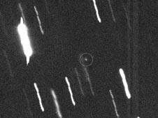 Asteroid Apophis