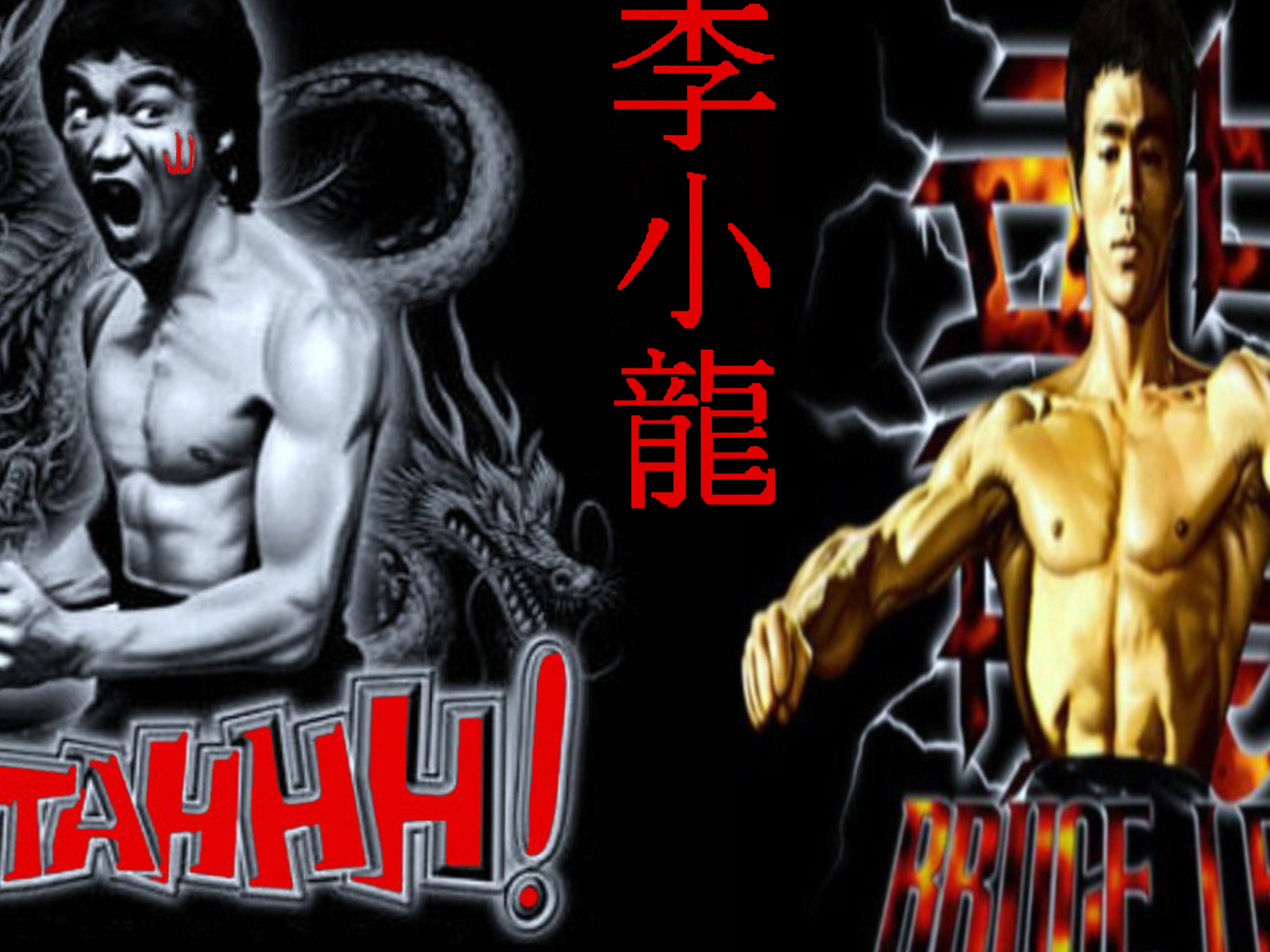 Wallpapers Photo Art: Bruce Lee Wallpapers